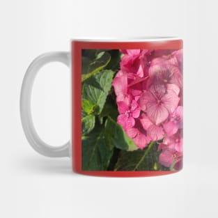 Hydrangea in morning sunshine Mug